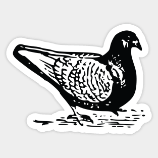 Pigeon Hand Drawn Sticker